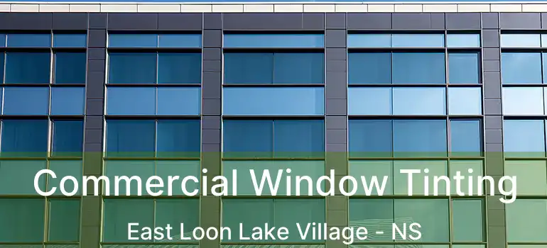  Commercial Window Tinting East Loon Lake Village - NS