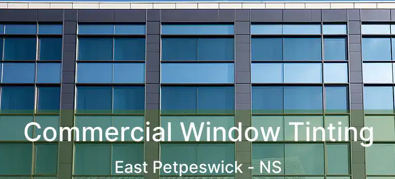  Commercial Window Tinting East Petpeswick - NS