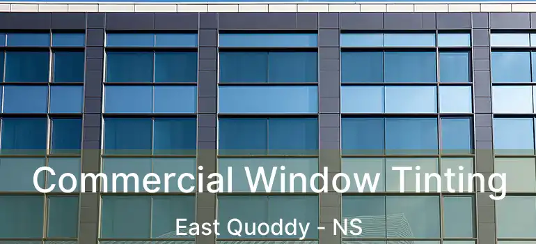  Commercial Window Tinting East Quoddy - NS