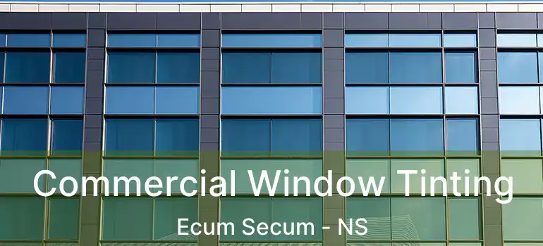  Commercial Window Tinting Ecum Secum - NS