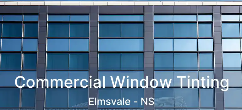  Commercial Window Tinting Elmsvale - NS