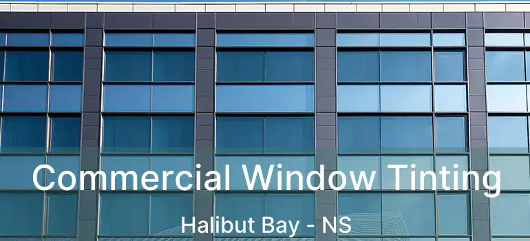  Commercial Window Tinting Halibut Bay - NS