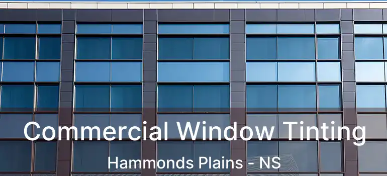  Commercial Window Tinting Hammonds Plains - NS