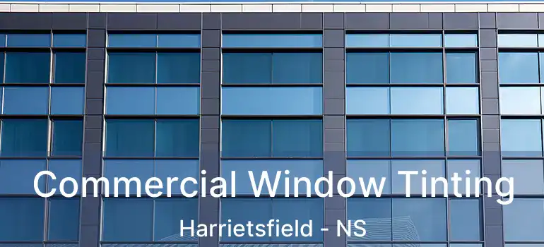  Commercial Window Tinting Harrietsfield - NS