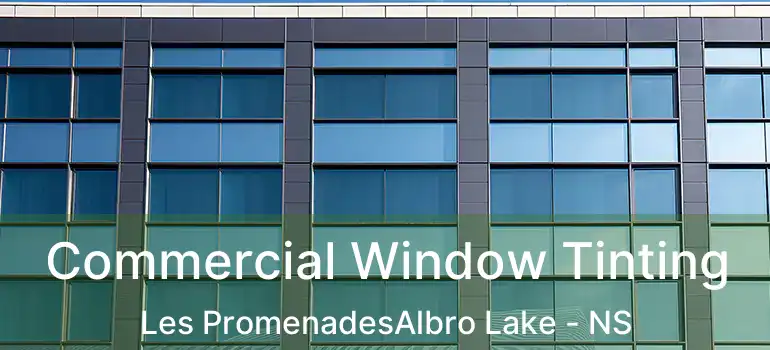  Commercial Window Tinting Les PromenadesAlbro Lake - NS