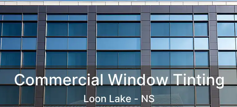  Commercial Window Tinting Loon Lake - NS