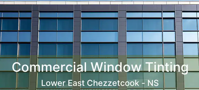  Commercial Window Tinting Lower East Chezzetcook - NS