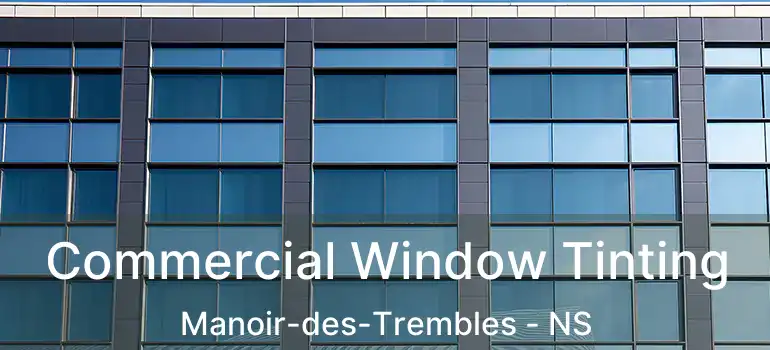  Commercial Window Tinting Manoir-des-Trembles - NS