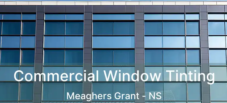  Commercial Window Tinting Meaghers Grant - NS