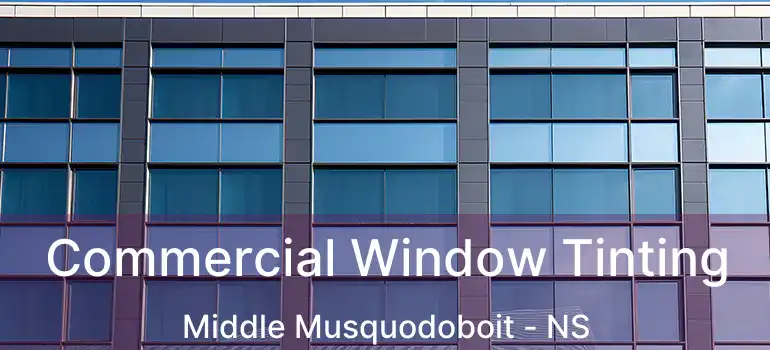  Commercial Window Tinting Middle Musquodoboit - NS