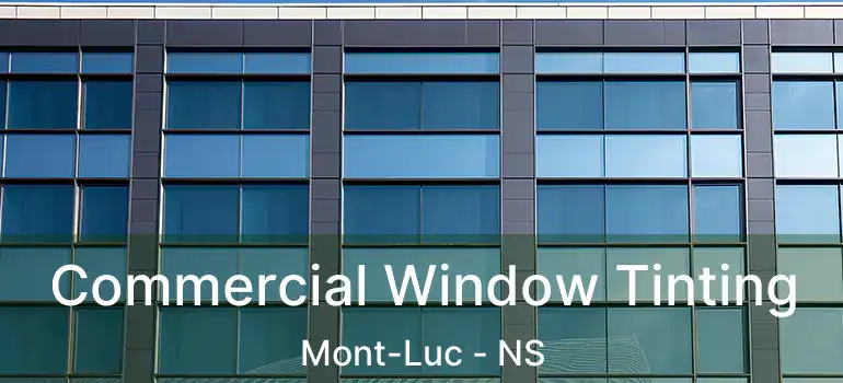  Commercial Window Tinting Mont-Luc - NS