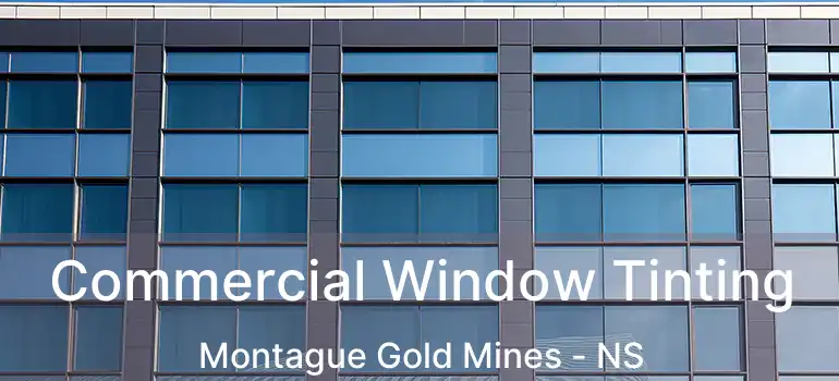  Commercial Window Tinting Montague Gold Mines - NS