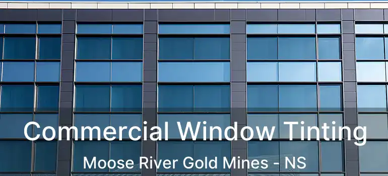  Commercial Window Tinting Moose River Gold Mines - NS