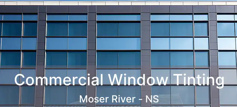  Commercial Window Tinting Moser River - NS