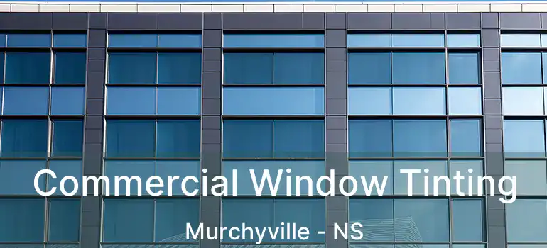  Commercial Window Tinting Murchyville - NS