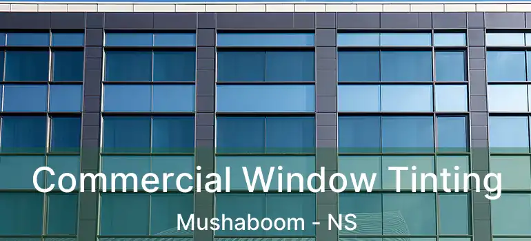  Commercial Window Tinting Mushaboom - NS