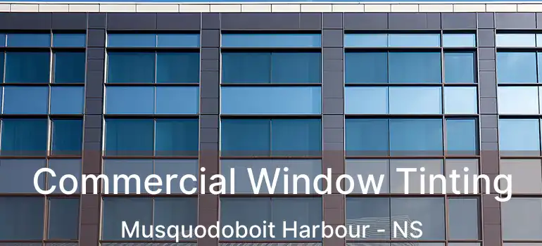  Commercial Window Tinting Musquodoboit Harbour - NS