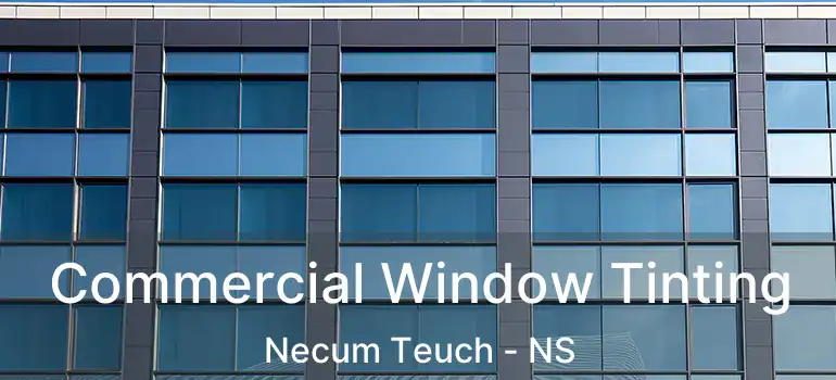  Commercial Window Tinting Necum Teuch - NS