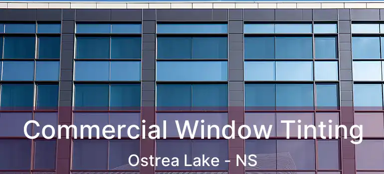  Commercial Window Tinting Ostrea Lake - NS