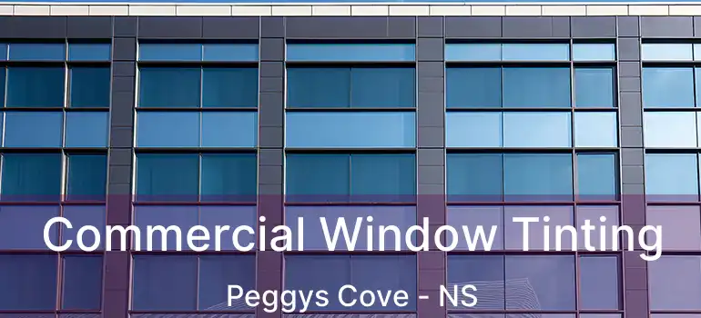  Commercial Window Tinting Peggys Cove - NS