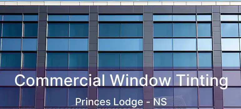  Commercial Window Tinting Princes Lodge - NS