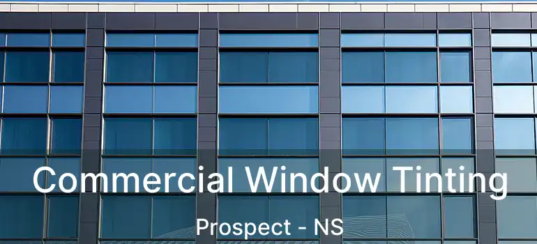  Commercial Window Tinting Prospect - NS