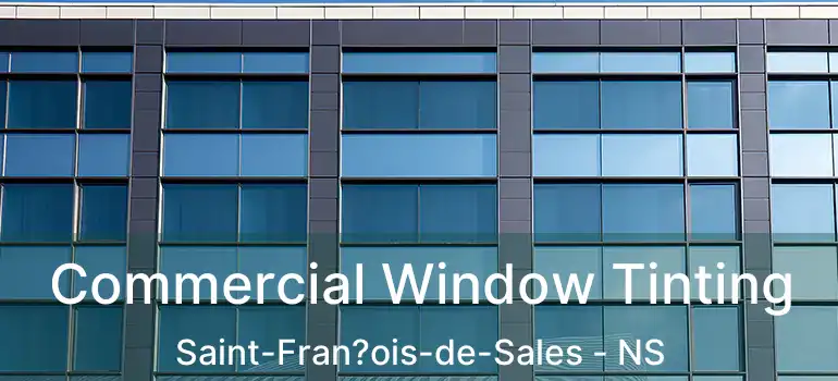  Commercial Window Tinting Saint-Fran?ois-de-Sales - NS