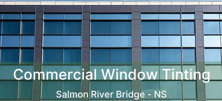  Commercial Window Tinting Salmon River Bridge - NS