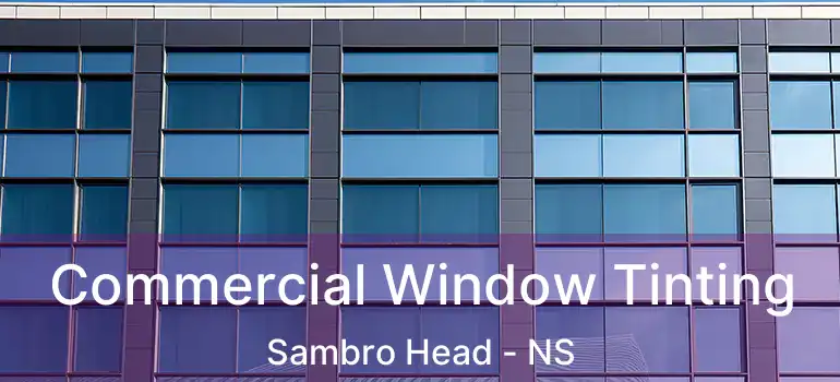  Commercial Window Tinting Sambro Head - NS