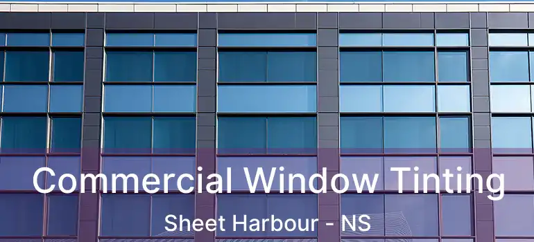  Commercial Window Tinting Sheet Harbour - NS