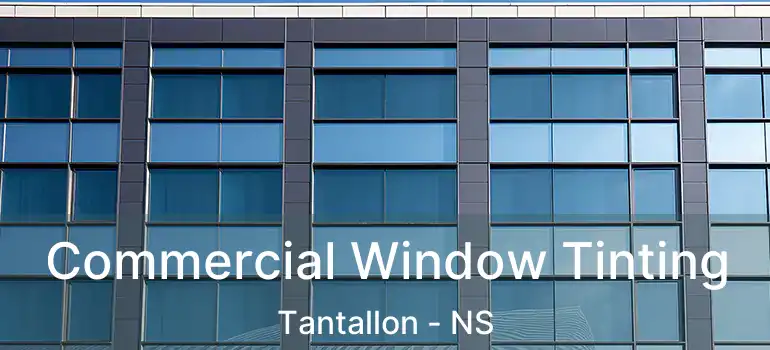  Commercial Window Tinting Tantallon - NS