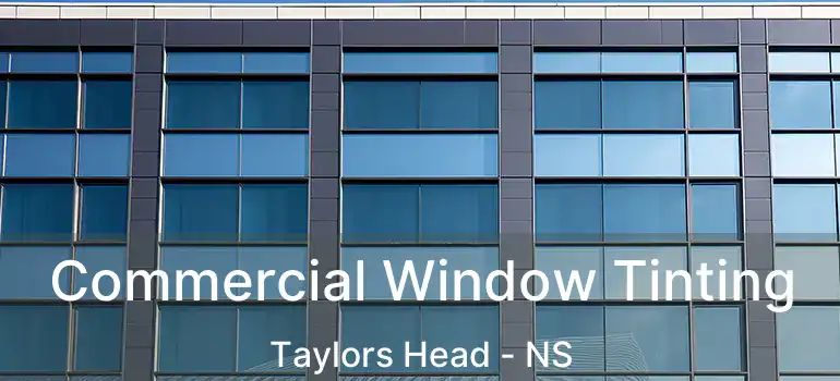  Commercial Window Tinting Taylors Head - NS