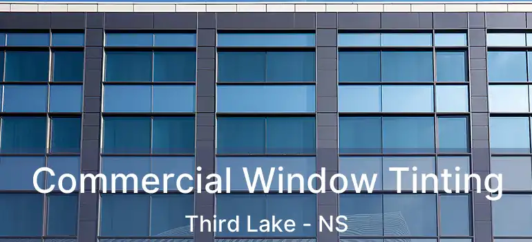  Commercial Window Tinting Third Lake - NS