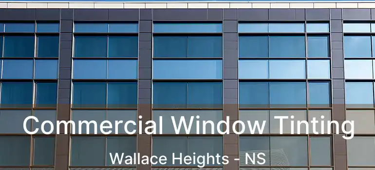  Commercial Window Tinting Wallace Heights - NS