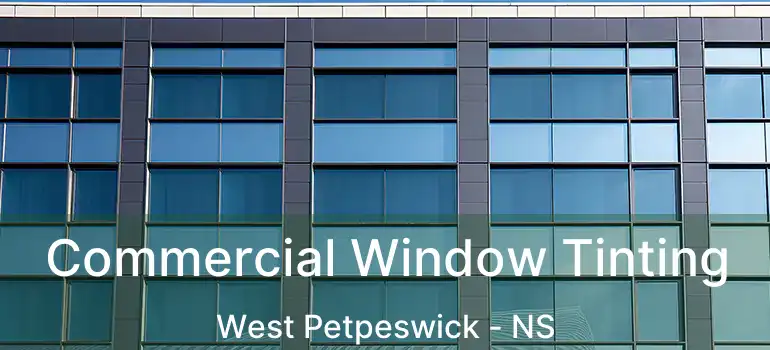  Commercial Window Tinting West Petpeswick - NS