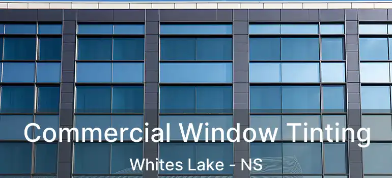  Commercial Window Tinting Whites Lake - NS