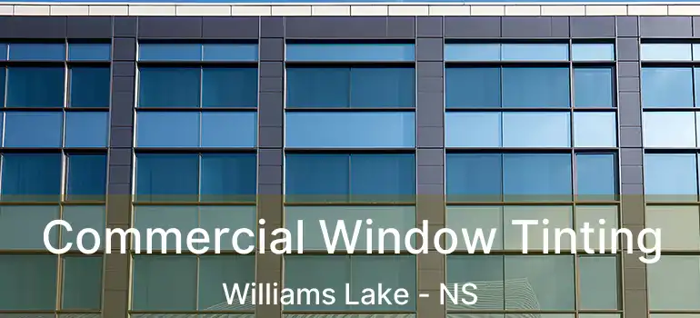  Commercial Window Tinting Williams Lake - NS