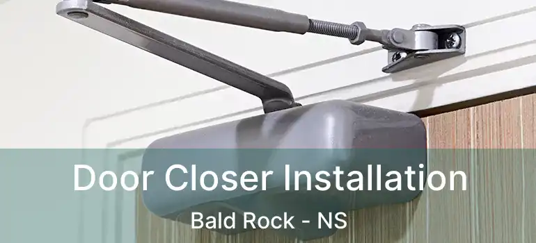  Door Closer Installation Bald Rock - NS