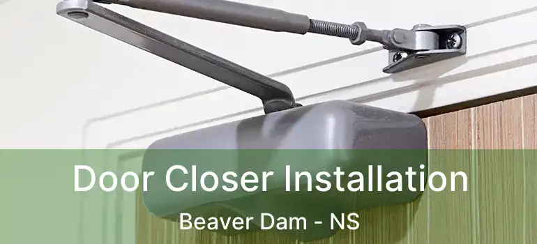  Door Closer Installation Beaver Dam - NS