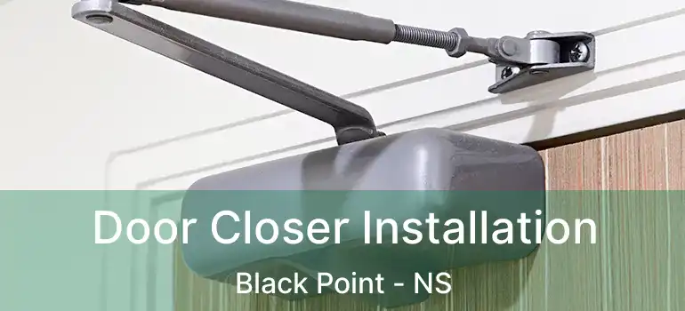  Door Closer Installation Black Point - NS