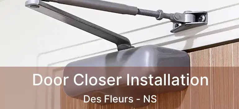  Door Closer Installation Des Fleurs - NS