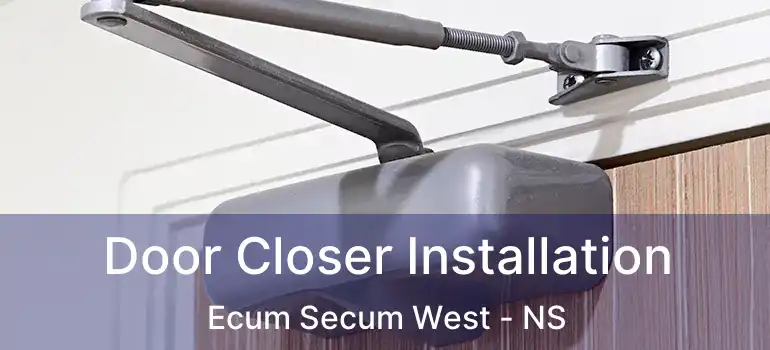  Door Closer Installation Ecum Secum West - NS