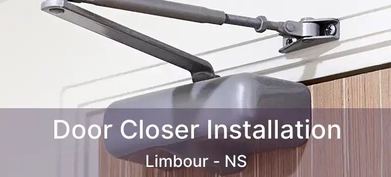  Door Closer Installation Limbour - NS