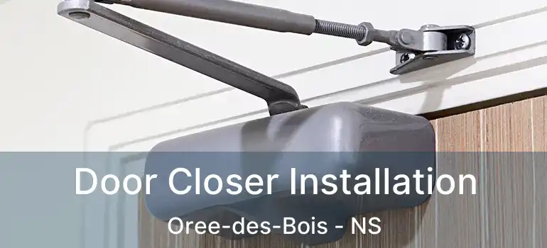  Door Closer Installation Oree-des-Bois - NS