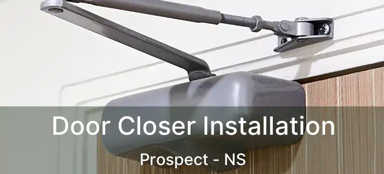  Door Closer Installation Prospect - NS