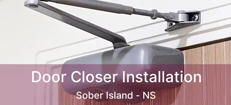  Door Closer Installation Sober Island - NS