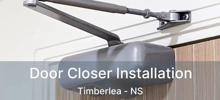  Door Closer Installation Timberlea - NS