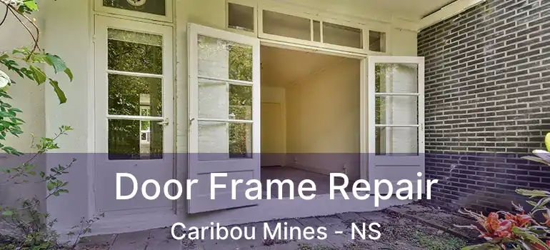  Door Frame Repair Caribou Mines - NS