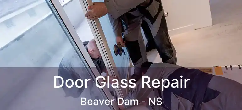  Door Glass Repair Beaver Dam - NS