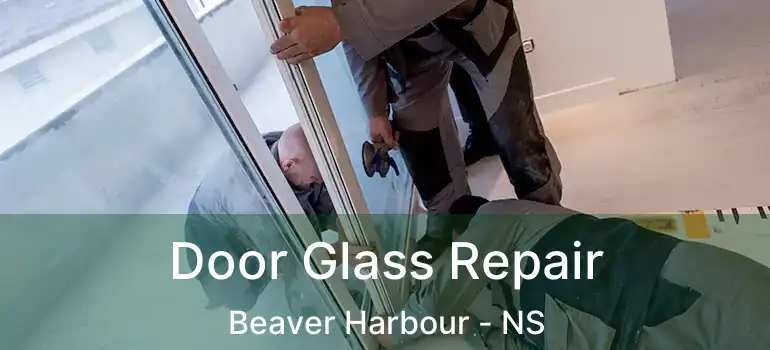  Door Glass Repair Beaver Harbour - NS